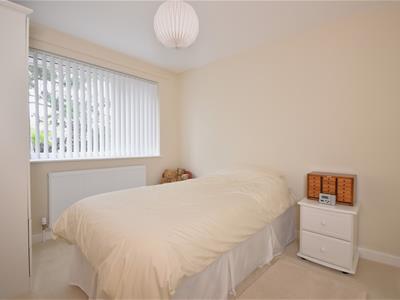 Picture 20